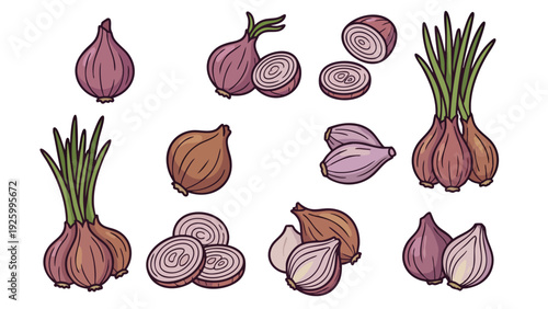Shallot Icons Vector Set