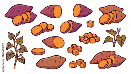 Sweet Potato Vector Set