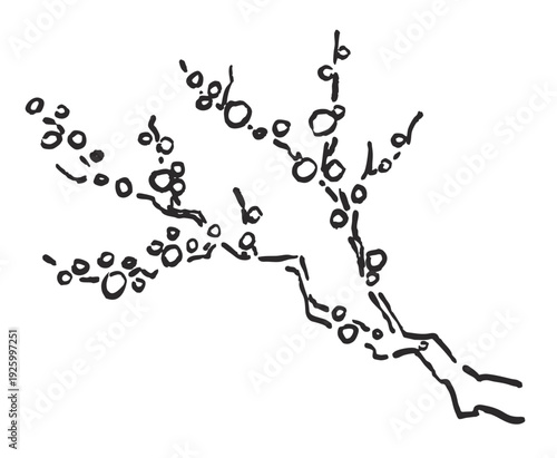 梅のイラスト、ベクター