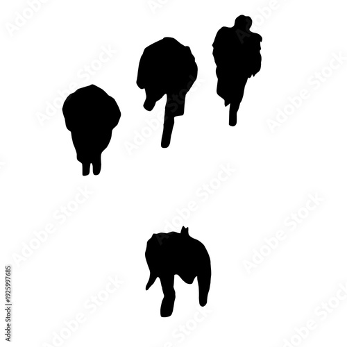 Silhouette of a Group of People Walking Top View