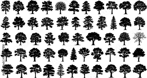  Ultimate Tree collection, 200 detailed, different tree vectors
