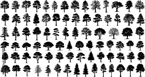  Ultimate Tree collection, 200 detailed, different tree vectors