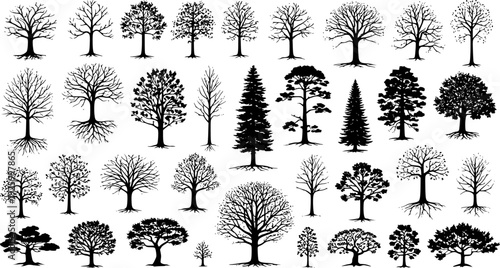  Ultimate Tree collection, 200 detailed, different tree vectors
