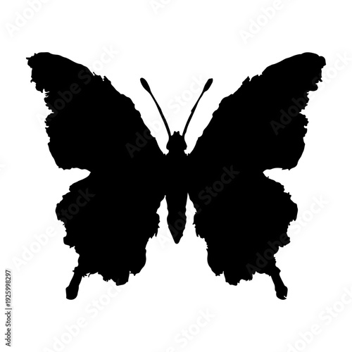 Butterfly vector silhouette illustration