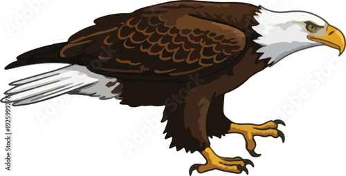 Majestic bald eagle illustration with sharp talons and proud stance