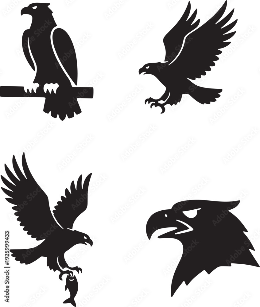 Obraz premium Four black eagle silhouettes in different poses on white background
