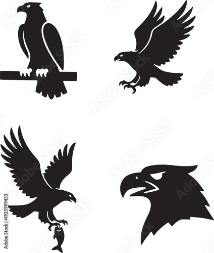 Four black eagle silhouettes in different poses on white background