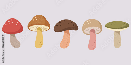 Mushroom Variety: An illustrative display of diverse mushroom species, each with unique caps and stems. This image showcases the beauty and variation found in the fungal kingdom. 