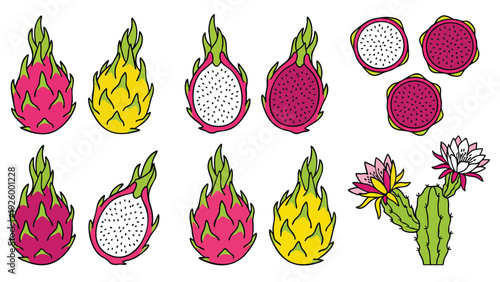 Dragon Fruit Icons Set Cartoon Style Red Yellow Sliced and Plant Illustration