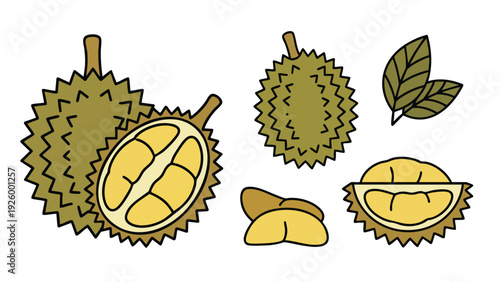 Durian Icons Set Cartoon Style Whole Cut Flesh and Leaf Illustration