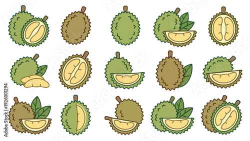 Durian Icons Set Cartoon Style Whole Cut Leaves and Flesh Illustration