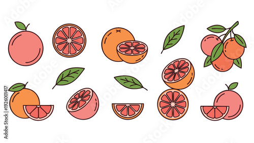 Grapefruit Fruit Icons Set Cartoon Style Whole Cut Slice and Leaves
