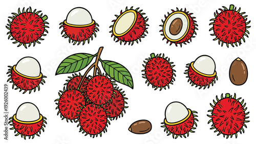 Rambutan Icons Set Whole Peeled Half Seed Leaf