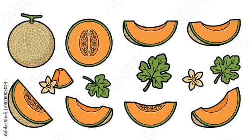 Cantaloupe Icons Set Cartoon Style Whole Slices Leaves and Flower Illustration