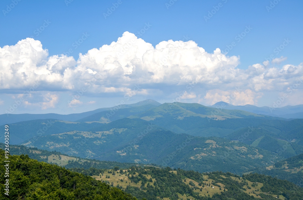 Fototapeta premium Panoramic view of rolling green hills and distant mountains beneath a clear blue sky, dotted with white clouds. Carpathians, Ukraine