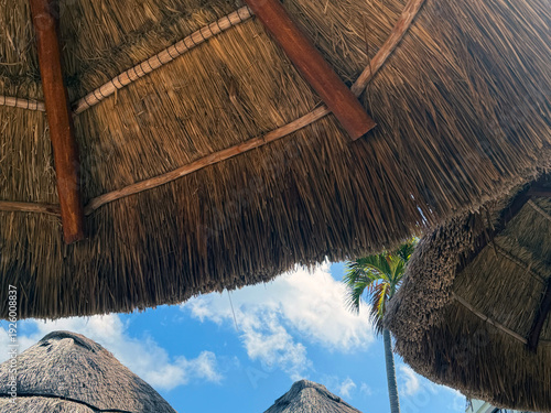 Fotografía MX Cancun Palapa Structures and Palm 2026