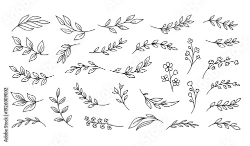 Hand Drawn Botanical Branch and Leaf Icon Set Featuring Floral Sprigs Wild Plants and Decorative Nature Elements for Wedding Branding and Elegant Design