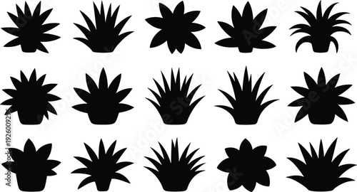 Black succulent and agave plant silhouette vector icon set collection featuring various desert flora leaf shapes isolated on a clean white background for design
