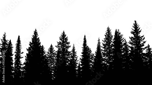 Pine Forest Silhouette - Evergreen Trees Outline Against White Sky Background