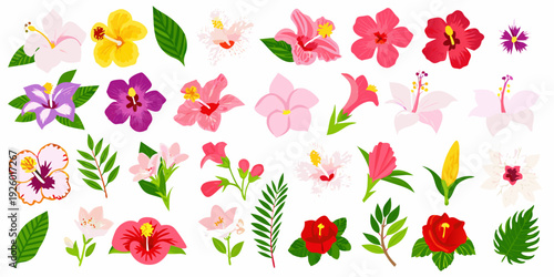 Colorful assortment of tropical hibiscus and other flowering plants