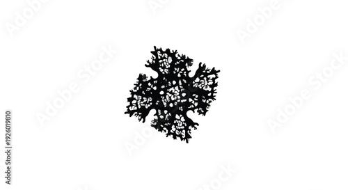 Abstract fractal pattern resembling a snowflake or a coral structure on a white background, intricate details visible