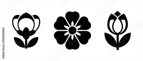 Charming set of classic floral vector symbols, perfect for diverse design needs