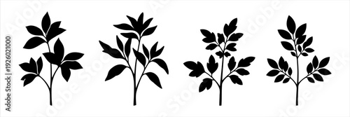 Varied set of elegant plant branch and leaf silhouettes for nature-themed designs