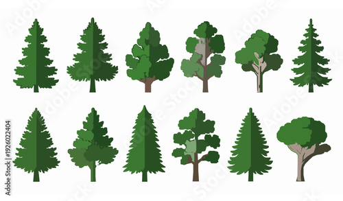 Pinus sylvestris pine tree vector set evergreen forest vegetation illustration