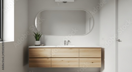 Modern bathroom interior with mirror sink drawers and decorative plant