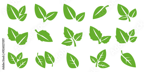 Leaf vector symbol, leaf illustration or leaf emoji in flat style. Spring leaf design, ecological nature theme.