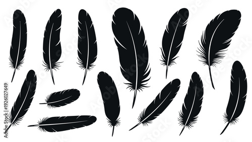 Large set of various bird feather silhouettes in black isolated on a white background for design and decoration.