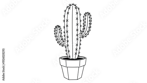 Detailed black and white line drawing of a tall saguaro cactus planted in a simple geometric pot for desert themed botanical art.