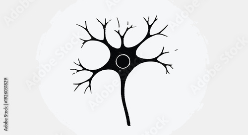 Illustration of a black neuron cell body with dendrites and axon on a white background