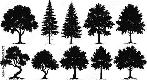 vBlack vector silhouette set of ten diverse trees including oak pine fir and maple with visible root systems for nature landscape and environmental design