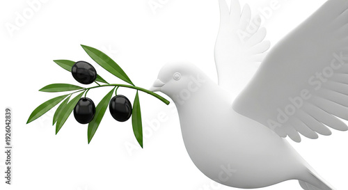 White Dove with Olive Branch