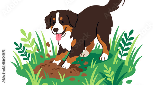 Playful Bernese Mountain Dog Cartoon Digging in Garden. Happy Tri-color Pet Illustration with Dirt and Green Grass on White Background.