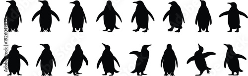 Multiple black silhouette penguins in diverse standing and dynamic poses animal bird