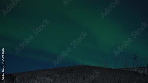Wallpaper Mural Real-time footage of aurora borealis northern lights in Fairbanks, Alaska USA Torontodigital.ca