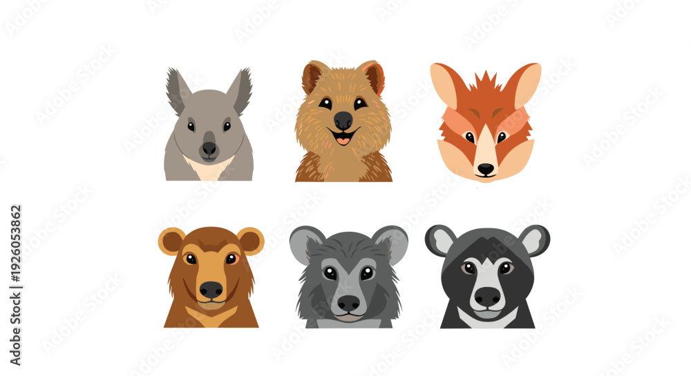 Fototapeta premium Collection of cute Australian animal faces including a quokka koala and tasmanian devil in a clean flat vector illustration style.