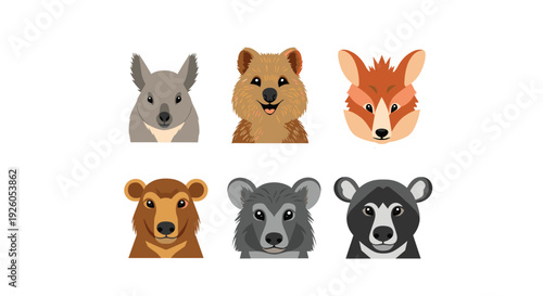 Collection of cute Australian animal faces including a quokka koala and tasmanian devil in a clean flat vector illustration style.