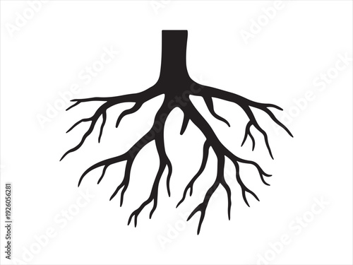 Tree root silhouette, Tree root icon, Root logo icon design vector illustration 