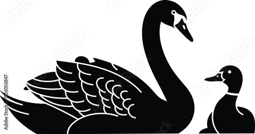 Black silhouette of a large swan and a smaller duck side by side bird waterfowl