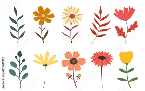 floral illustration