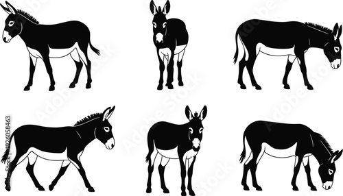 Donkey silhouettes collection, farm animal mule standing and grazing isolated on white background illustration set