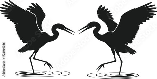 Two Herons With Wings Spread Standing In Water Silhouette bird animal