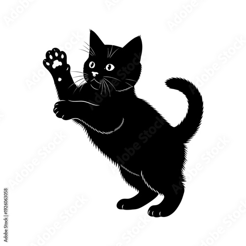 A black cat standing on its hind legs with one paw raised