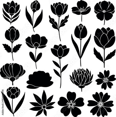 Modern Botanical Black Flower Silhouette Collection
