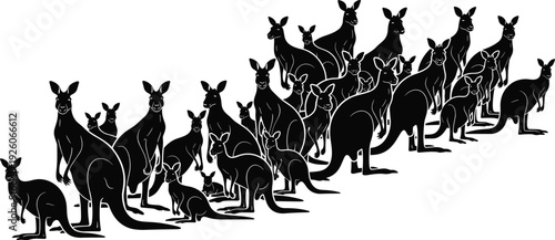 Kangaroo silhouette collection with large mob of wild australian animals, hopping marsupials, joey in pouch, and outback wildlife for nature vector design projects