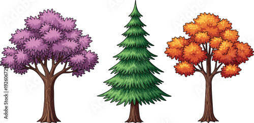 Colorful cartoon tree set showing spring summer autumn seasons, evergreen pine illustration isolated on white background for nature design, education, games, and graphics