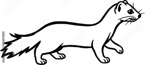 Hand Drawn Black and White Ferret Vector Illustration Isolated on White Background for Wildlife Education Nature Design Weasel Animal Sketch and Kids Coloring Projects